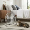 Ventilador Seguro para Mascotas DV-TECH Gato descansando frente a un ventilador de suelo metálico industrial DV-TECH en un dormitorio iluminado y acogedor.
